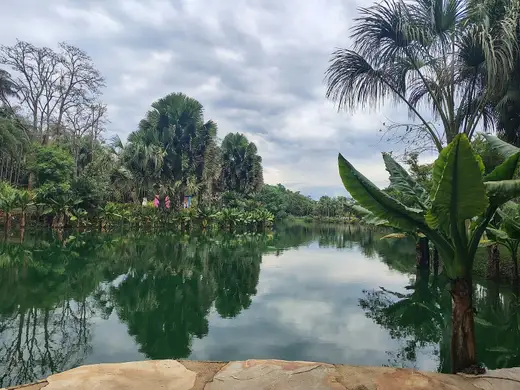 Lago cercado de palmeiras e vegetação tropical em um dia nublado